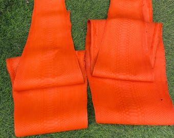 Piel de serpiente auténtica en color naranja