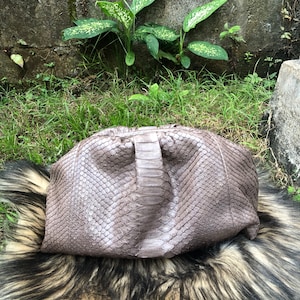 Shiny taupe clutch python