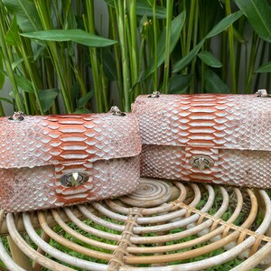 genuine python bag