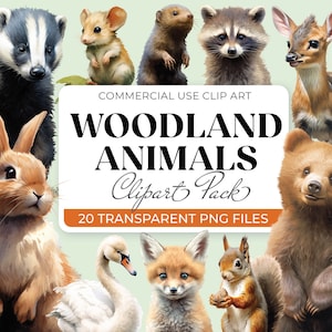 Animales del bosque, colección de imágenes prediseñadas, ilustración, fondo transparente, paquete de imágenes prediseñadas de animales, uso comercial, 300 ppp, PNG