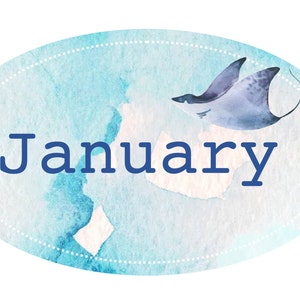 May include: A blue watercolor oval with a white dotted border and the word "January" in navy blue text. A watercolor illustration of a manta ray is in the top right corner of the oval.