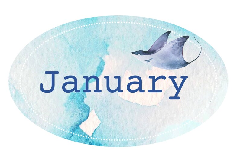 May include: A blue watercolor oval with a white dotted border and the word "January" in navy blue text. A watercolor illustration of a manta ray is in the top right corner of the oval.