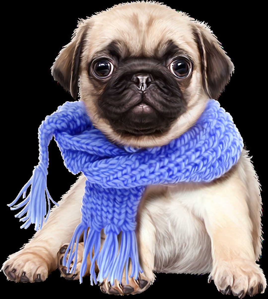 Cute Puppy Cute Dog Digital Art Digital Dog Etsy