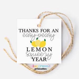 Danke für ein Easy Peasy Lemon Squeezy Jahr, Anhänger für die Wertschätzung des Lehrers, Dankeschön-Lehrer-Geschenkanhänger, Jahresende, Sommer-Lehrer-Geschenkanhänger