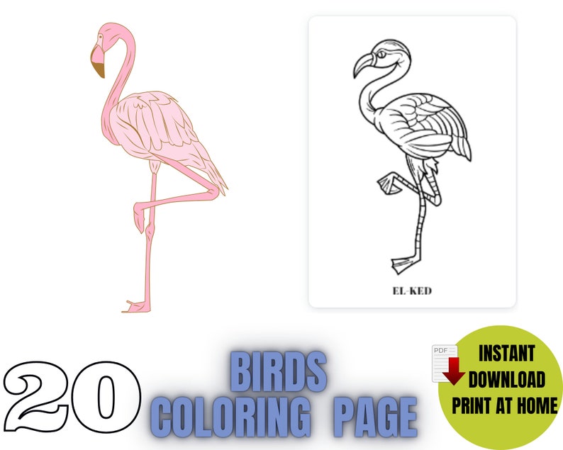 Birds Coloring Pages, Birds PDF, Printable Birds, Birds Coloring Pages ...