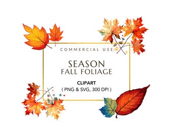 Fall Leaves Clipart, Autumn Foliage, Digital Download, Watercolor Fall Leaves, Autumn Leaves Clipart, Fall Foliage PNG, Commercial Use