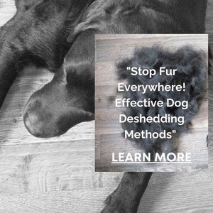 以下が含まれることがあります： 「DE-SHED BETTER」というテキストが表示された白黒画像。犬の毛と足のクローズアップ。小さな画像には、犬の毛の山とテキスト「Stop Fur Everywhere! Effective Dog Deshedding Methods」が表示されています。