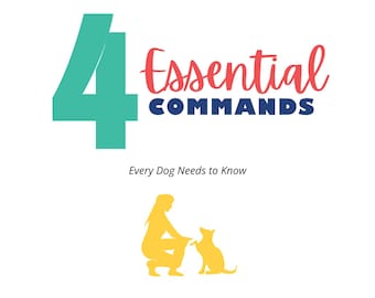 Dog Training Guide, 4 Essential Commands, Planner Bundle (PDF)