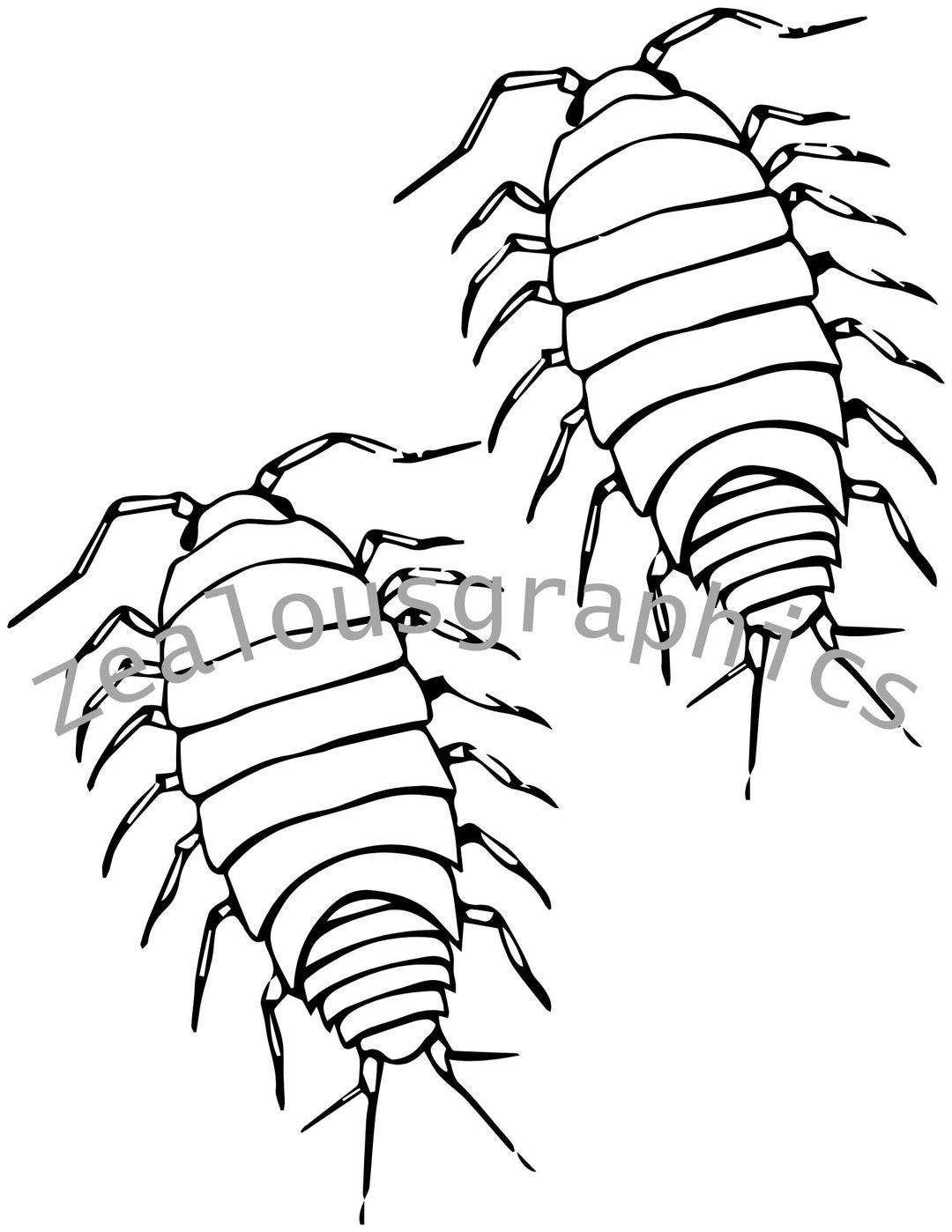 Insect Coloring Book, Coloring Pages Printable, Coloring Book Pages