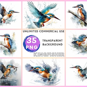 Kingfisher aquarela clipart fundo transparente png desenho artesanato colagem diário scrapbook impressões download instantâneo