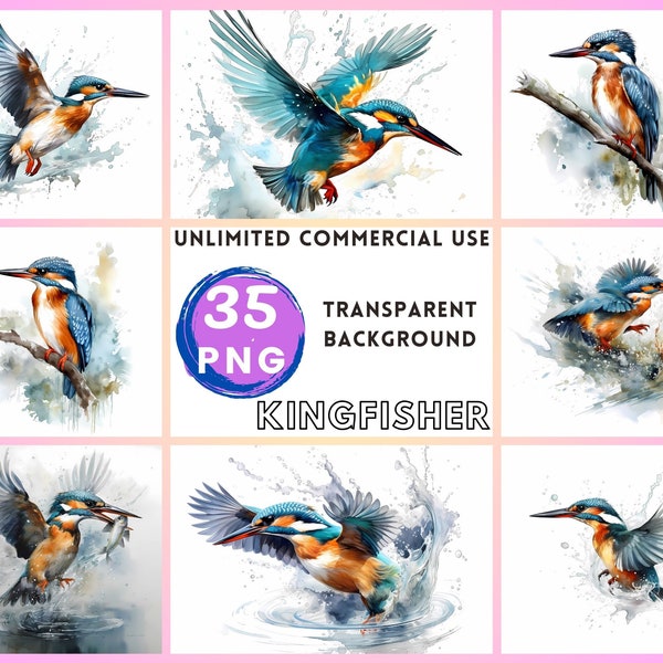 Kingfisher aquarel clipart transparante achtergrond PNG tekening Crafting collage journaling scrapbook prints direct downloaden