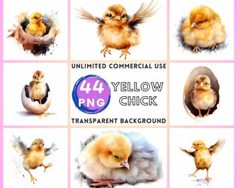 Yellow Chick Watercolor Clipart Transparent Background PNG Drawing Crafting Collage Journaling Scrapbook Prints Instant Download