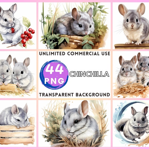 Chinchilla Watercolor Clipart Transparent Background PNG Drawing Crafting Collage Journaling Scrapbook Prints Instant Download