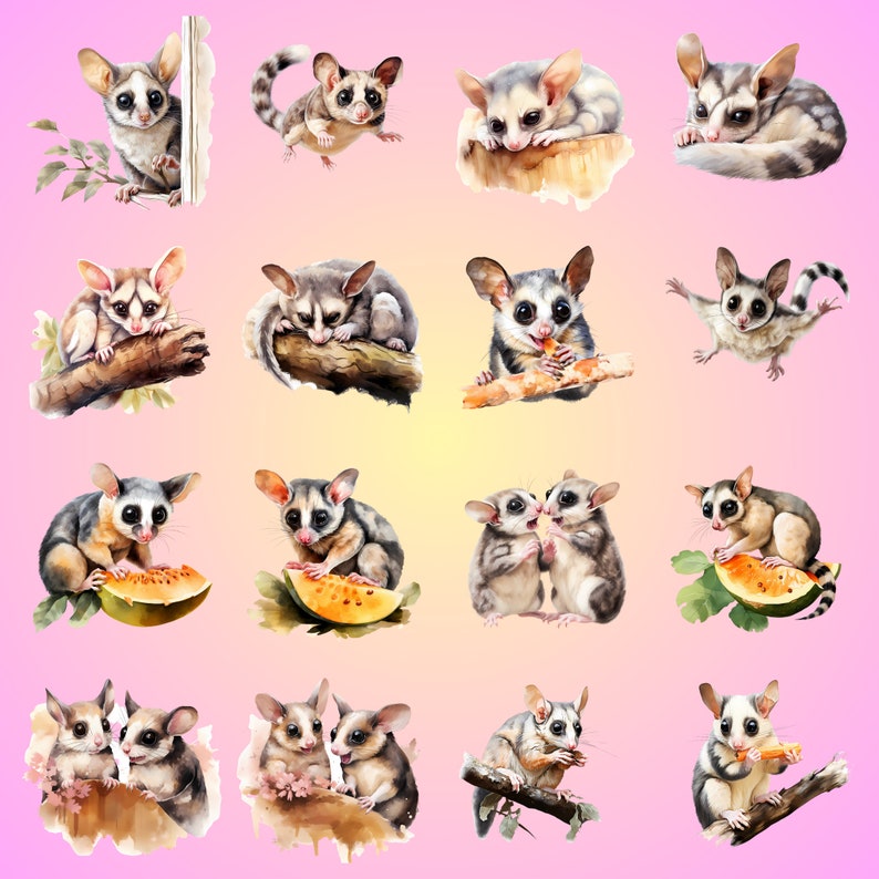 Sugar Glider Watercolor Clipart Transparent Background PNG Drawing Crafting Collage Journaling Scrapbook Prints Instant Download zdjęcie 9