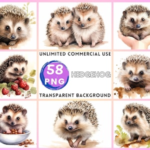 Igel Aquarell Clipart transparenten Hintergrund PNG Zeichnung Basteln Collage Journaling Scrapbook Prints Instant Download