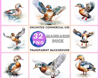 Mandarin Duck Watercolor Clipart Transparent Background PNG Drawing Crafting Collage Journaling Scrapbook Prints Instant Download