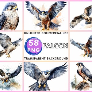 Falke Aquarell Clipart transparenten Hintergrund PNG Zeichnung Basteln Collage Journaling Scrapbook Drucke Sofort Download