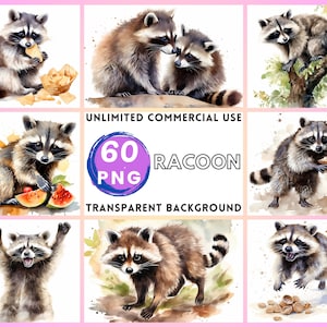 Racoon Acquerello Clipart Sfondo Trasparente PNG Disegno Artigianato Collage Diario Scrapbook Stampe Download Istantaneo