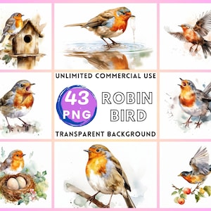 Rotkehlchen Vogel Aquarell Clipart transparenten Hintergrund PNG Zeichnung Basteln Collage Journaling Scrapbook Prints Instant Download