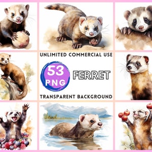 Furão Aquarela Clipart Fundo Transparente PNG Desenho Artesanato Colagem Diário Scrapbook Impressões Download Instantâneo