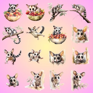 Sugar Glider Watercolor Clipart Transparent Background PNG Drawing Crafting Collage Journaling Scrapbook Prints Instant Download zdjęcie 8