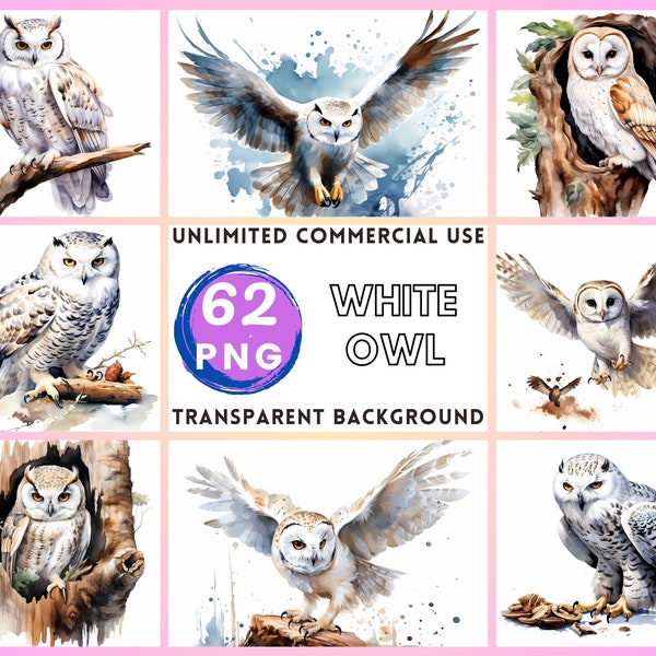 White Owl Watercolor Clipart Transparent Background PNG Drawing Crafting Collage Journaling Scrapbook Prints Instant Download