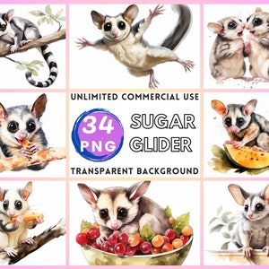 Sugar Glider Watercolor Clipart Transparent Background PNG Drawing Crafting Collage Journaling Scrapbook Prints Instant Download zdjęcie 1