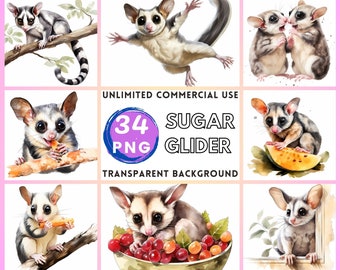 Sugar Glider Aquarell Clipart Transparenter Hintergrund PNG Zeichnung Basteln Collage Journaling Scrapbook Prints Instant Download