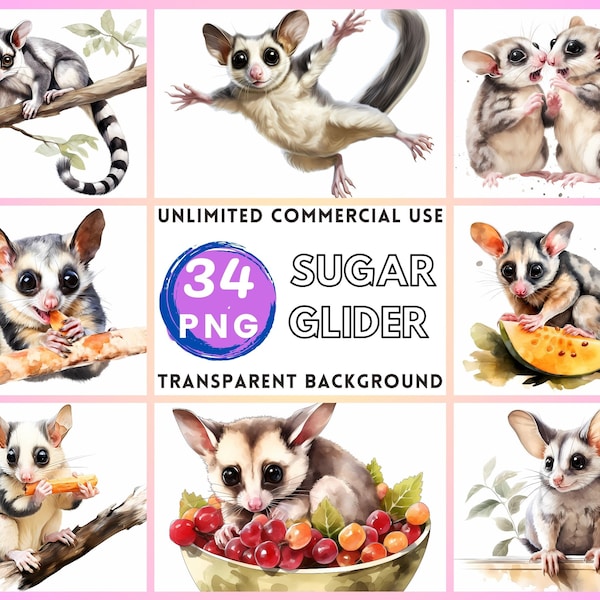 Sugar Glider Aquarell Clipart Transparenter Hintergrund PNG Zeichnung Basteln Collage Journaling Scrapbook Prints Instant Download