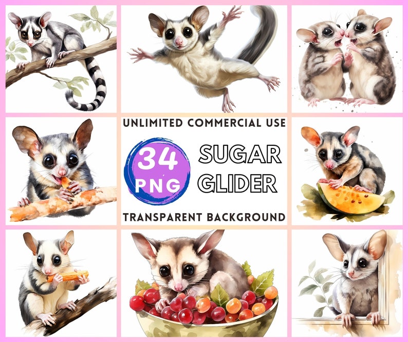 Sugar Glider Watercolor Clipart Transparent Background PNG Drawing Crafting Collage Journaling Scrapbook Prints Instant Download zdjęcie 1