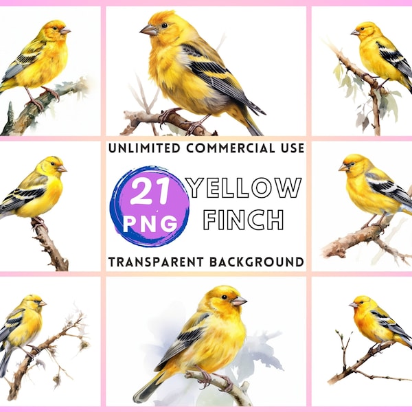 American Goldfinch Watercolor Clipart Transparent Background PNG Drawing Crafting Collage Journaling Scrapbook Prints Instant Download