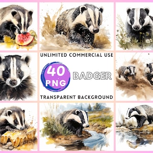 Dachs Aquarell Clipart transparenten Hintergrund PNG Zeichnung Basteln Collage Journaling Scrapbook Prints Instant Download