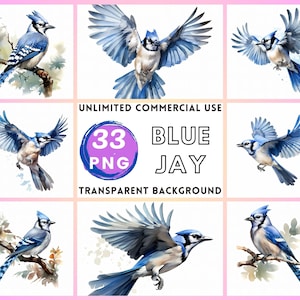 Blue Jay aquarel clipart transparante achtergrond PNG tekening crafting collage journaling scrapbook prints direct downloaden