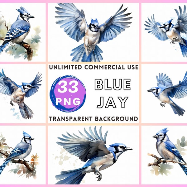 Blue Jay Watercolor Clipart Transparent Background PNG Drawing Crafting Collage Journaling Scrapbook Prints Instant Download