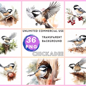 Clipart aquarelle mésange fond Transparent PNG dessin Artisanat Collage journalisation Scrapbooking impressions téléchargement immédiat