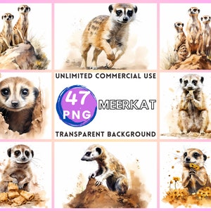 Erdmännchen Aquarell Clipart transparenten Hintergrund PNG Zeichnung Basteln Collage Journaling Scrapbook Prints Instant Download