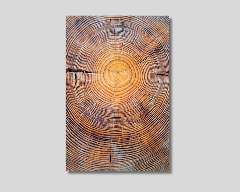 Natural Tree Rings Canvas Wall Art, Tree Ring Print of Stump, Tree ...