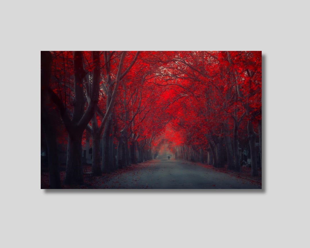 Red Tree Forest Canvas Wall Art, Red Leaves Forest Poster Print, Forest ...