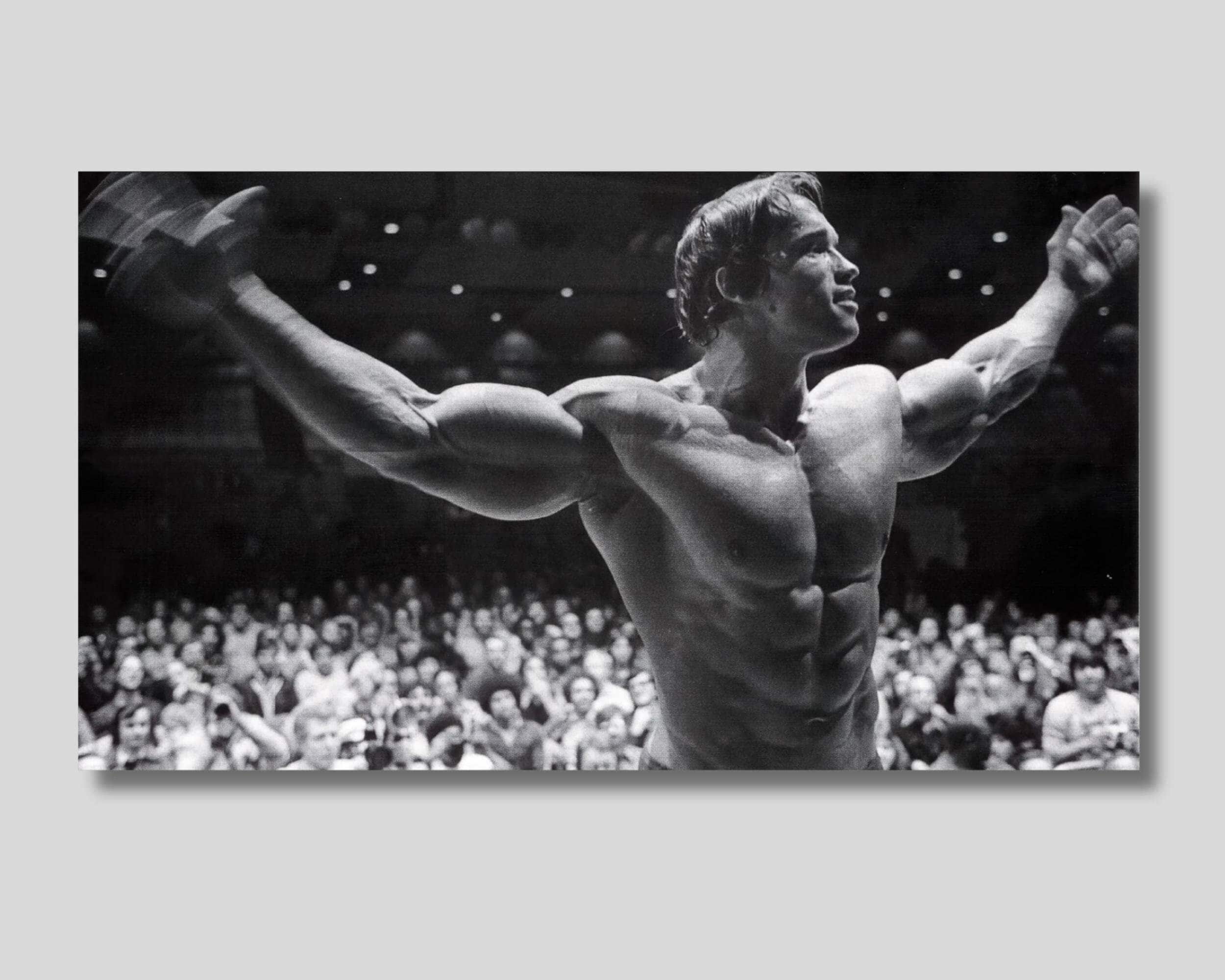 Arnold Schwarzenegger Mr Olympia 1974 Printable Poster, Arnold