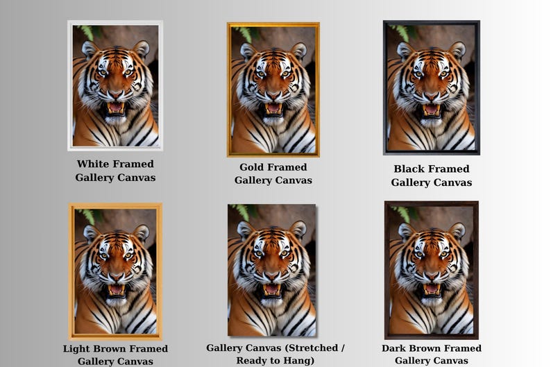 a group of four pictures of a tiger