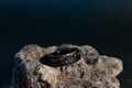 Custom Meteorite Ring, Engraved Meteorite Tungsten Ring, Hammered Meteor Tungsten Band, Hammered Black Ring, Faceted Ring, Wedding Band, 8mm