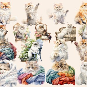 Persian Cats Watercolor Clipart Bundle, Cat Images, Cute Charming ...