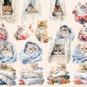 Persian Cats Watercolor Clipart Bundle, Cat Images, Cute Charming ...