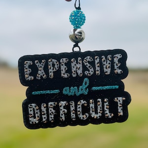 May include: Black sign with the words "EXPENSIVE and DIFFICULT" in silver glitter and leopard print. The word "and" is in teal glitter. The sign is hanging from a black string with a teal bead and a silver bead.