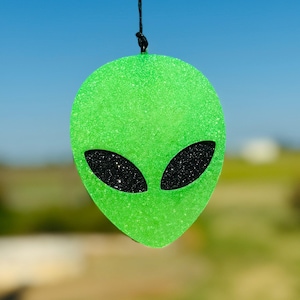 May include: A green, glittery alien head ornament with black, oval-shaped eyes. The alien head is suspended by a black string against a blurred background of blue sky and green foliage. The ornament has a textured surface.