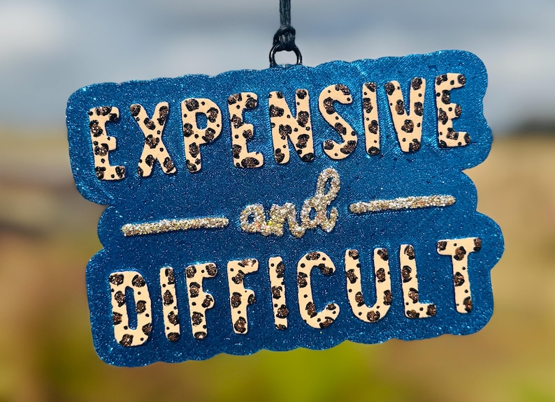 May include: A blue, glittery sign with the words "EXPENSIVE and DIFFICULT" in white letters with black leopard print spots. The word "and" is in silver glitter. The sign is hanging from a black string.