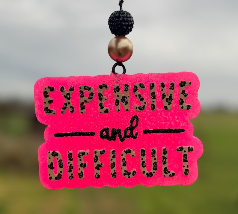 May include: A neon pink, rectangular ornament with the words "EXPENSIVE and DIFFICULT" in black script and leopard print lettering. The ornament hangs from a black beaded string with a gold bead.