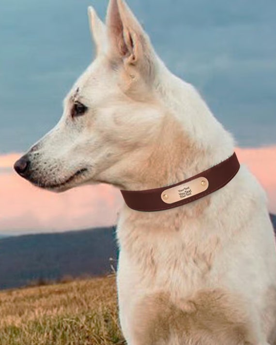 Customized Leather Dog Collar for Carolina Dogs Custom Name Dog Collars Leather Pet Tags Unique Tags for Large Dogs
