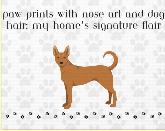 Paw prints with nose art and dog hair my homes signature flare  canvasCelebrate the unique aspects of living with a furryCarolina dog friend