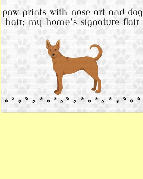 Paw prints with nose art and dog hair my homes signature flare  canvasCelebrate the unique aspects of living with a furryCarolina dog friend